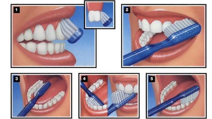 10 bước đánh răng đúng theo khoa học